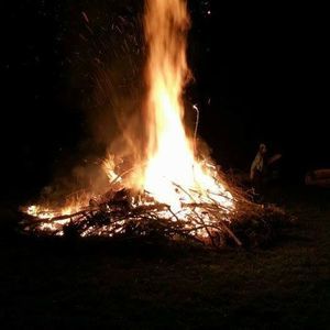 Meet your Posher, Ron